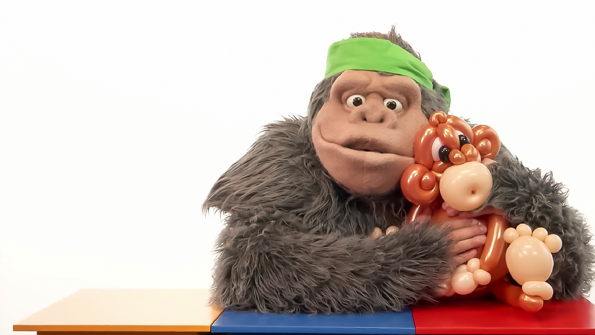 Backyard Bugs / The Arctic