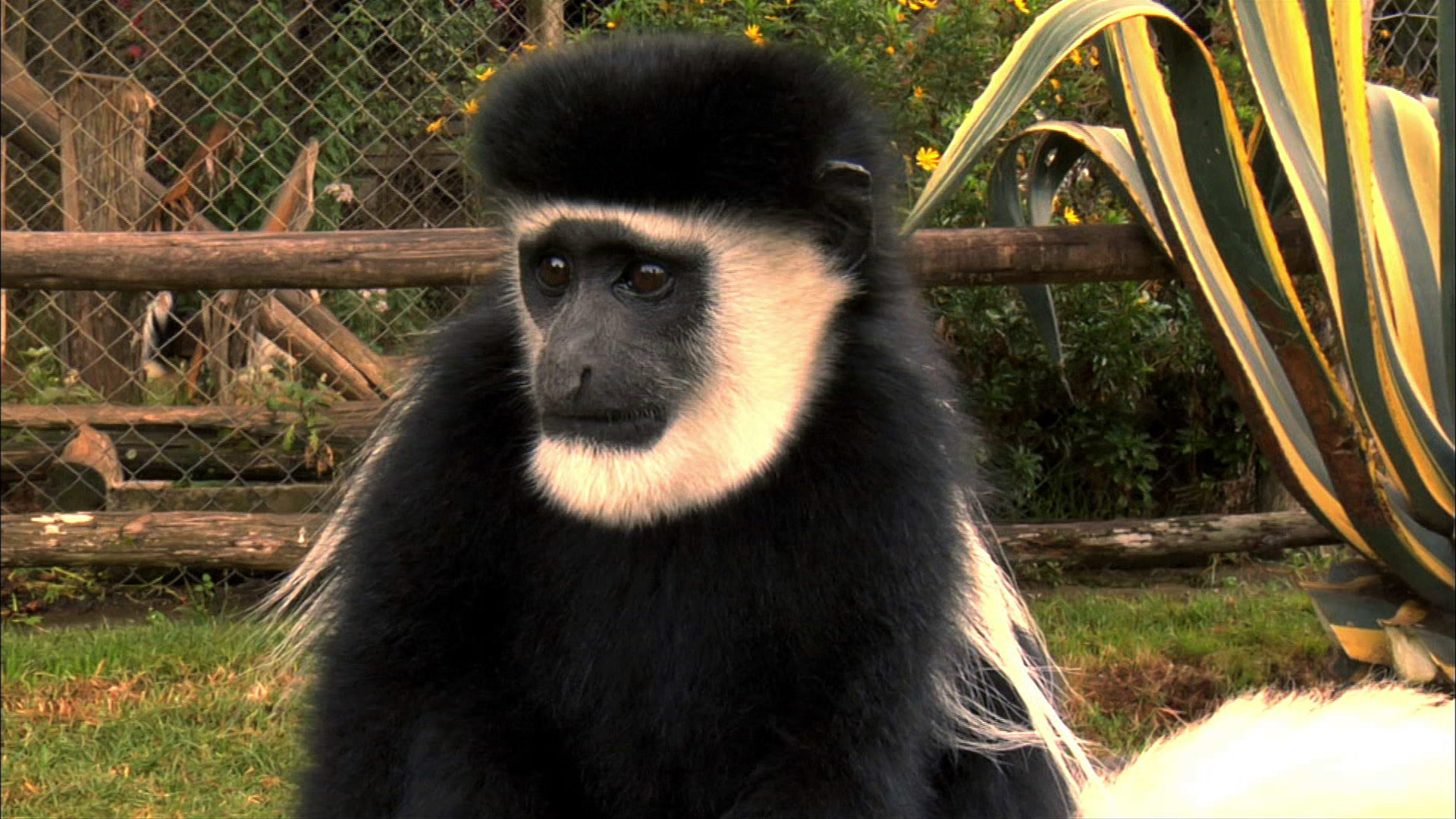 Diarios de OI Pejeta