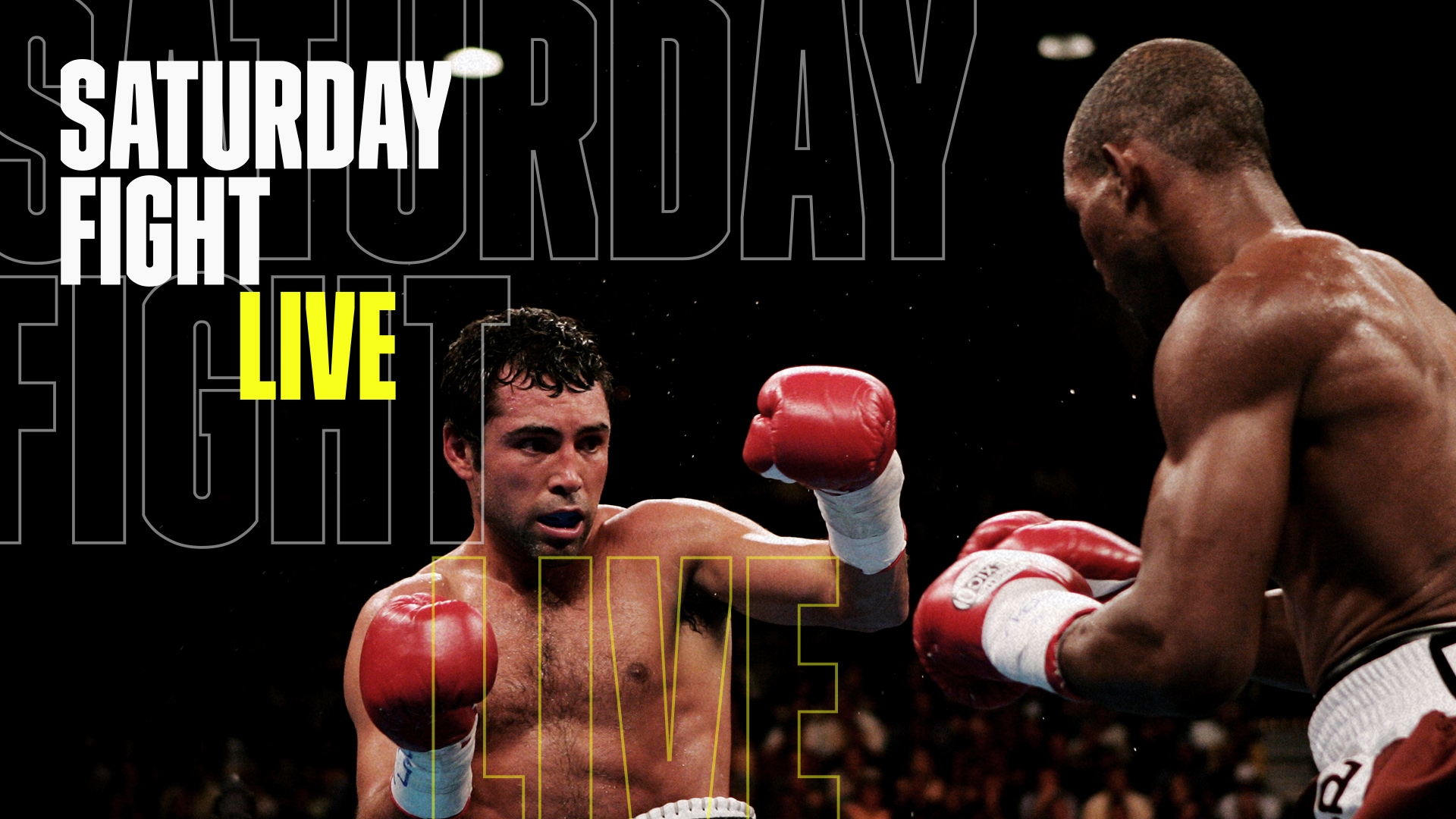 De La Hoya vs. Hopkins (2004)