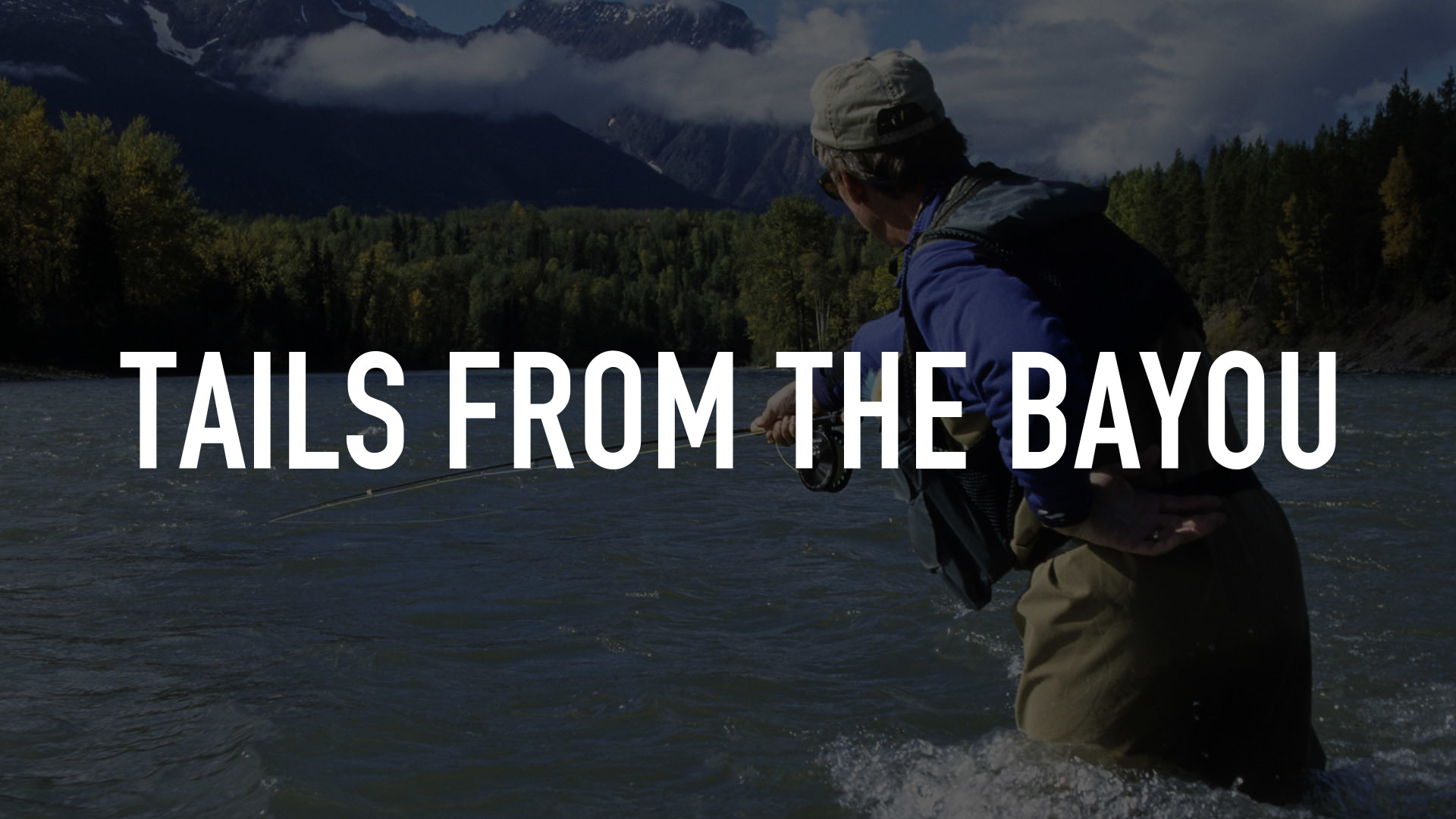 Tails From the Bayou