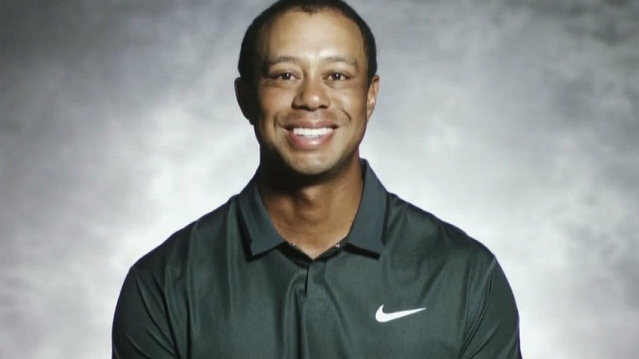 Chronicles of a Champion Golfer