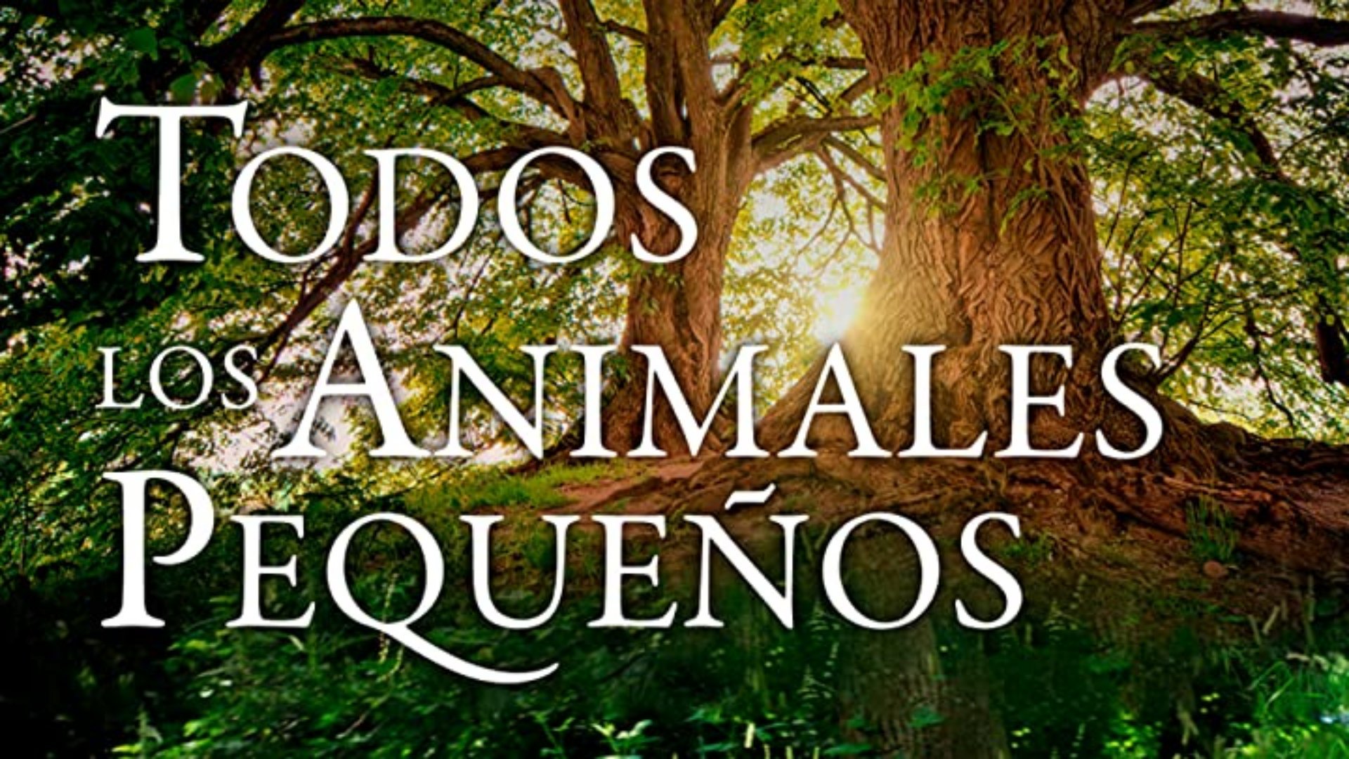 Todos los animales pequeños