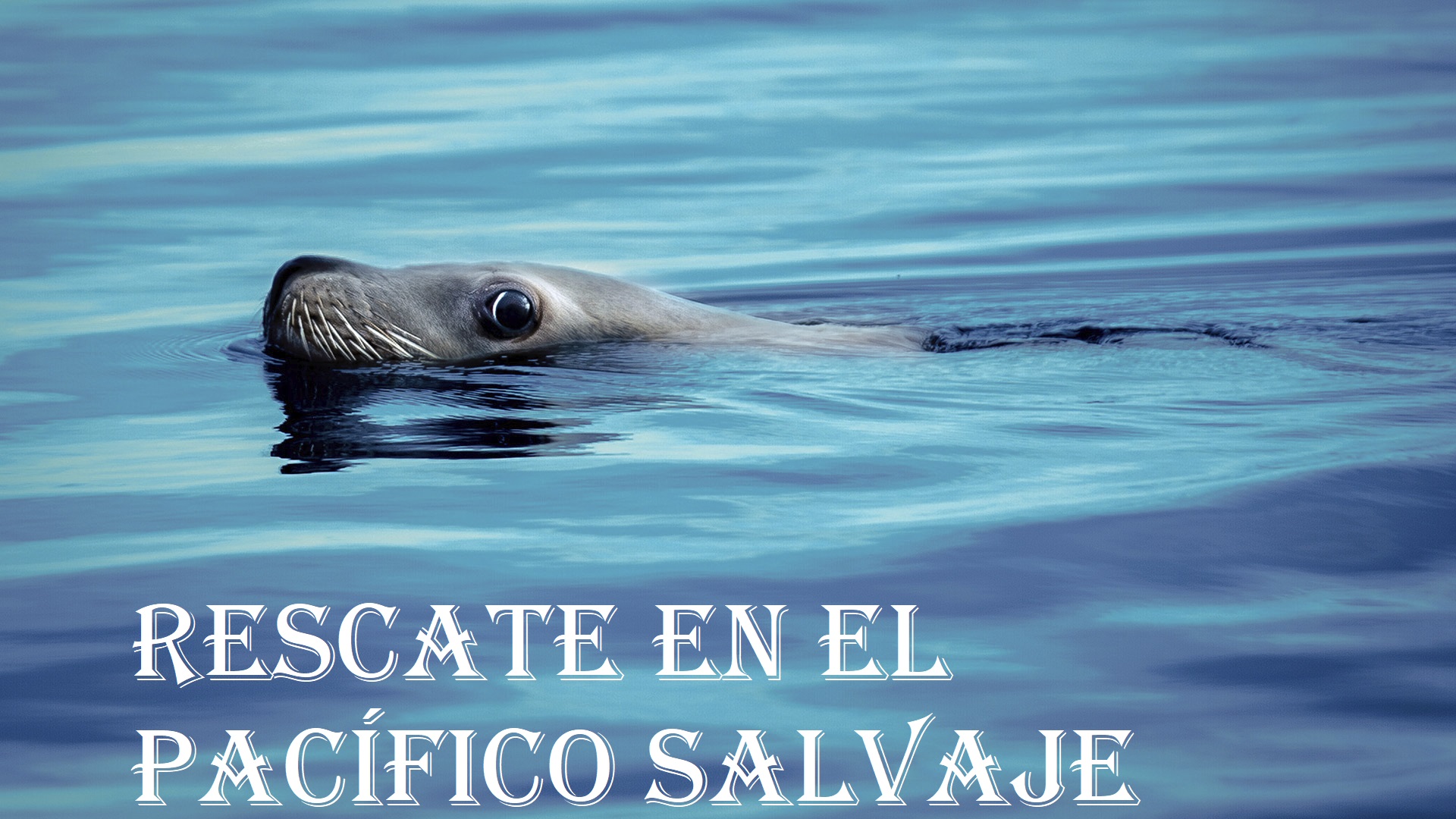 Rescate en el Pacífico Salvaje