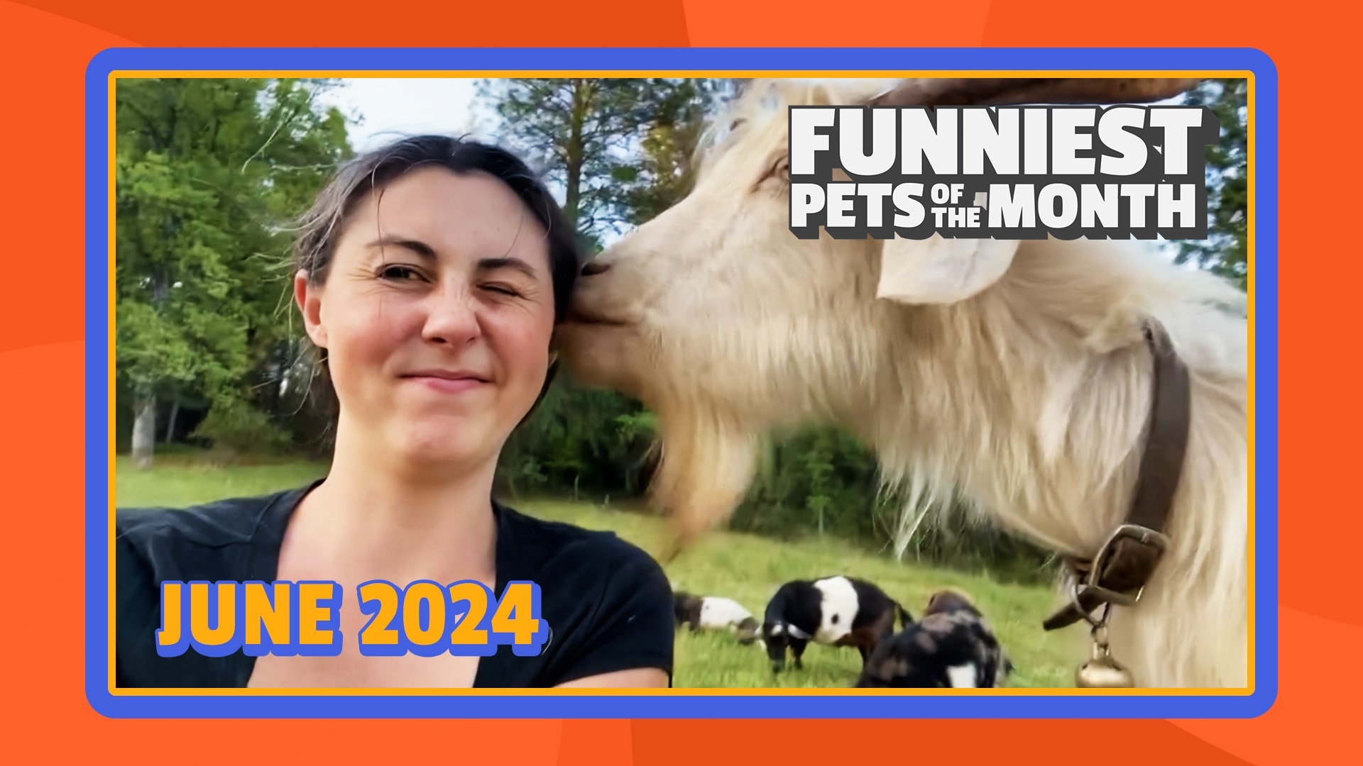 Funniest Pets of the Month | Ep. 1.7