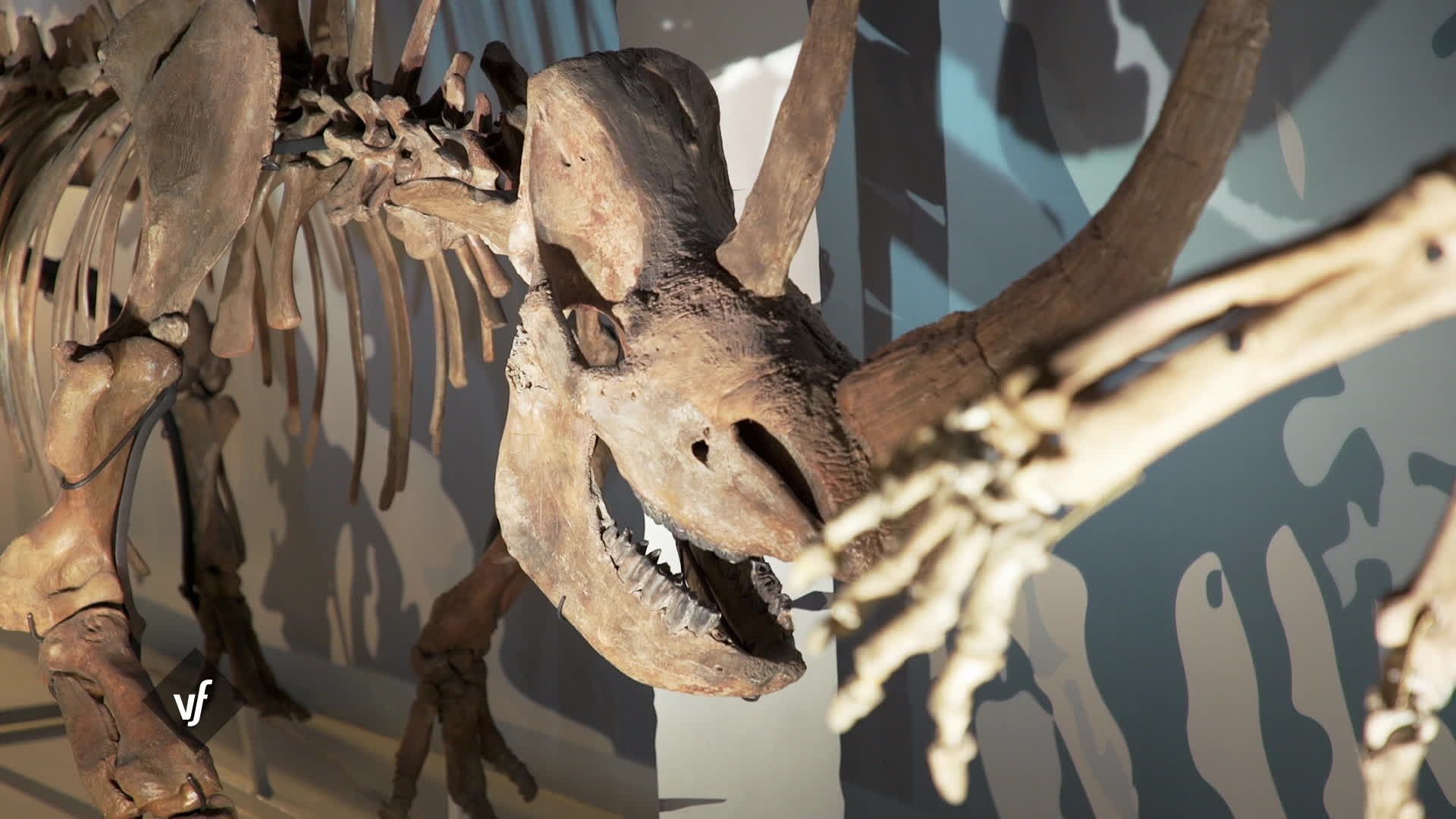 VERSION FRANCAISE-S09