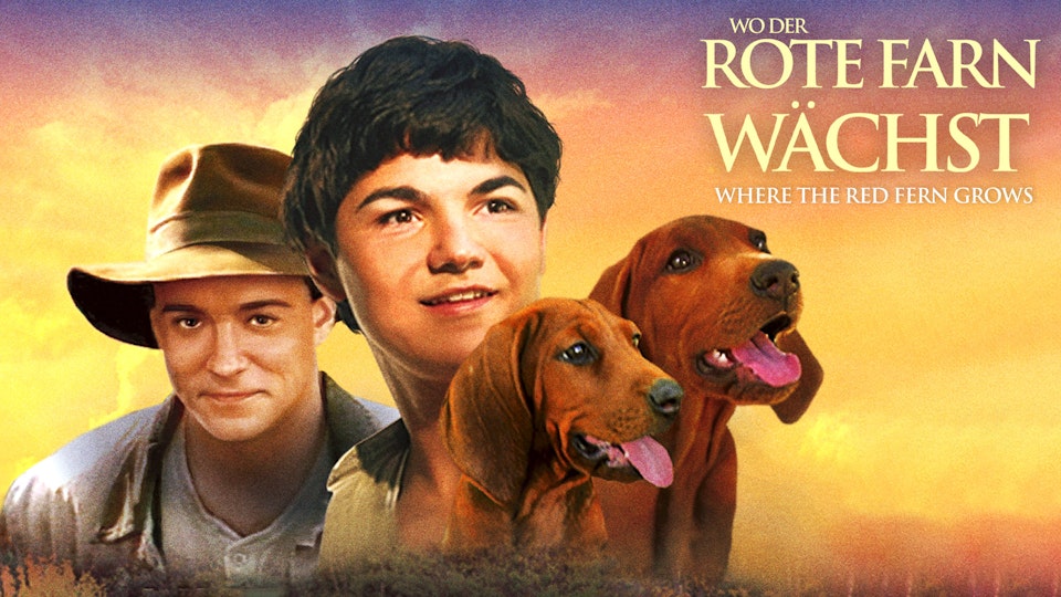 Wo der rote Farn wächst