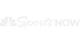 The national dog show