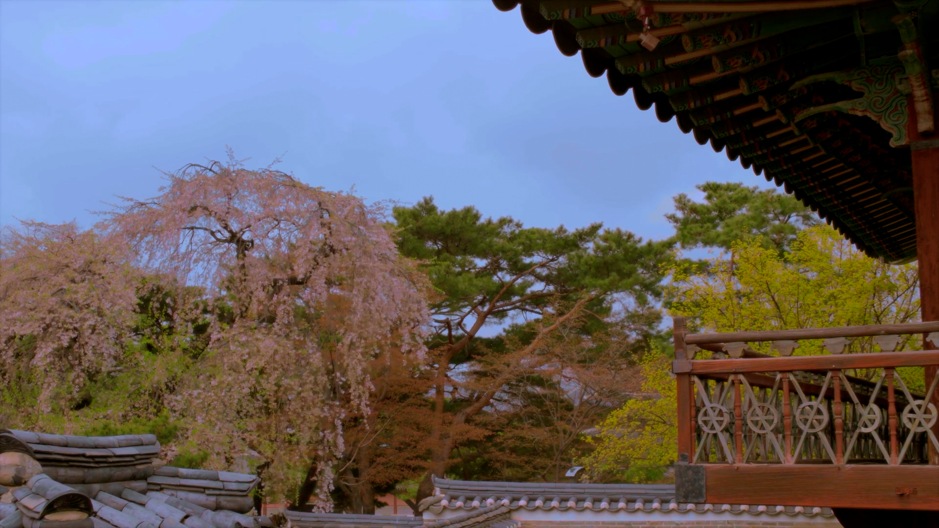 [궁궐 속 비밀의 화원] 창덕궁 낙선재 후원 EP.5