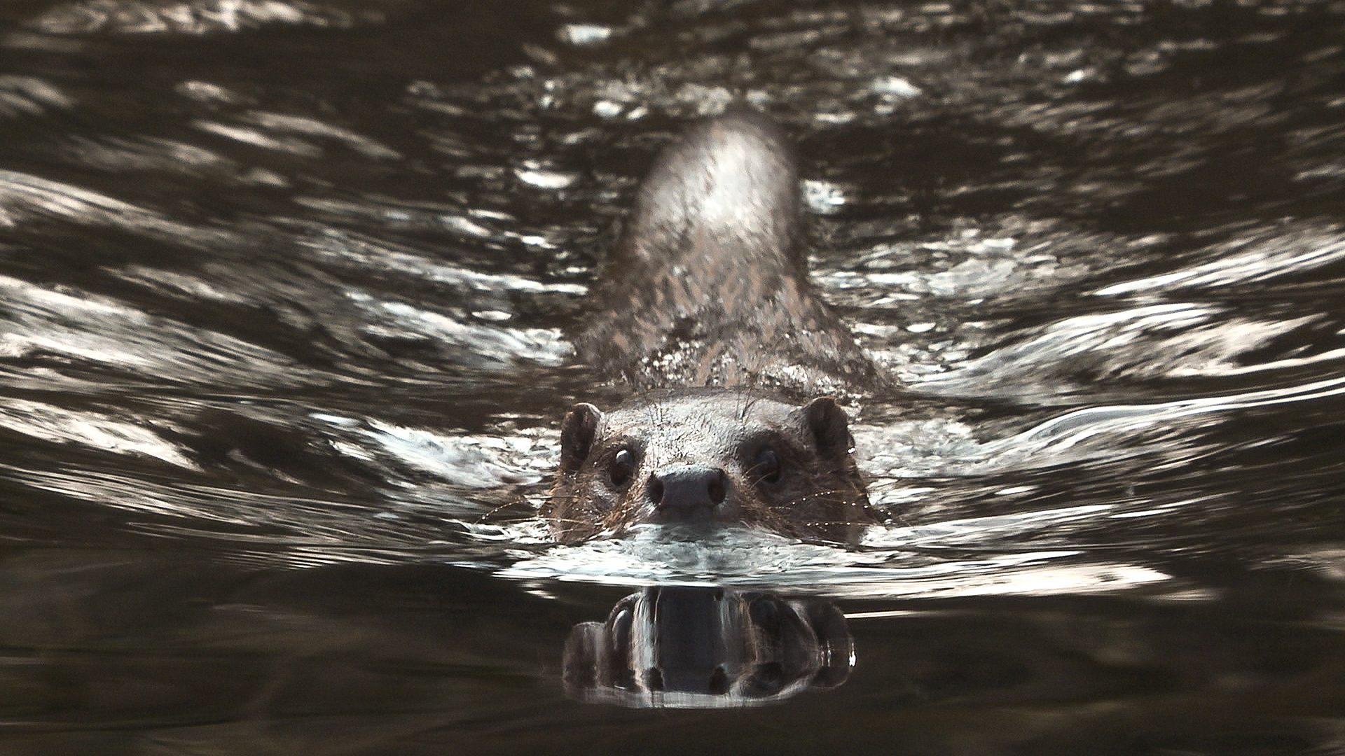 Fisch zum Frühstück