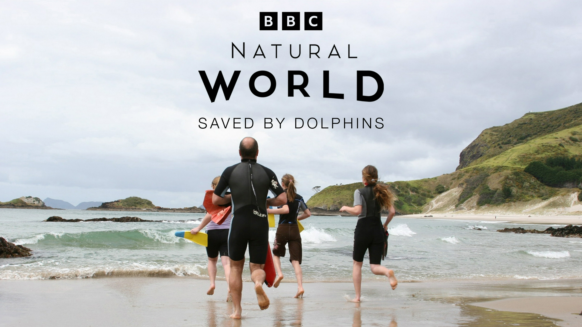 Attenboroughs schräge Vögel Tierische Rettungsschwimmer