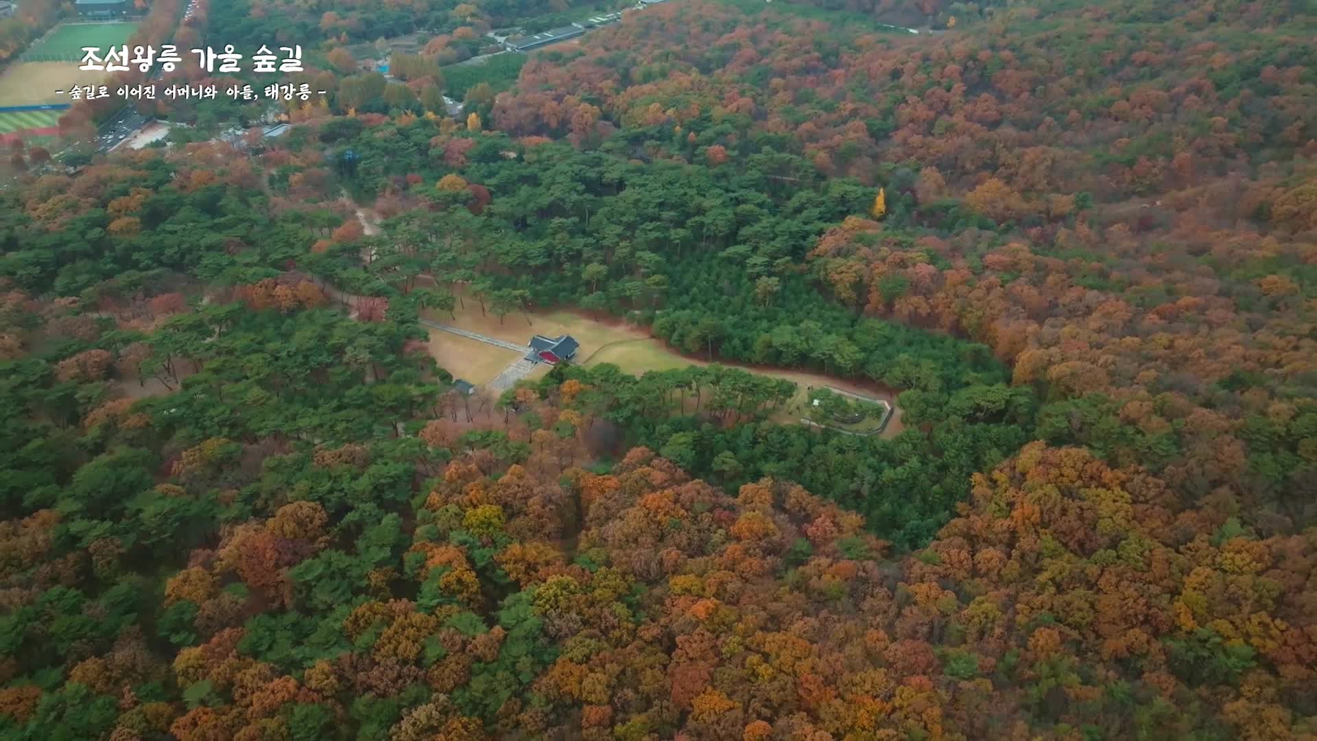 [조선왕릉 가을 숲길] 숲길로 이어진 어머니와 아들, 태릉과 강릉