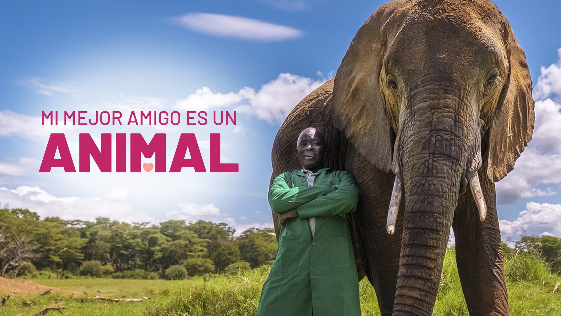 Mi mejor amigo es un animal