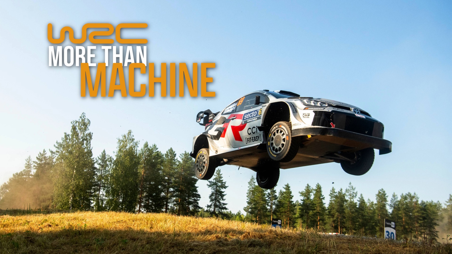 More Than Machine