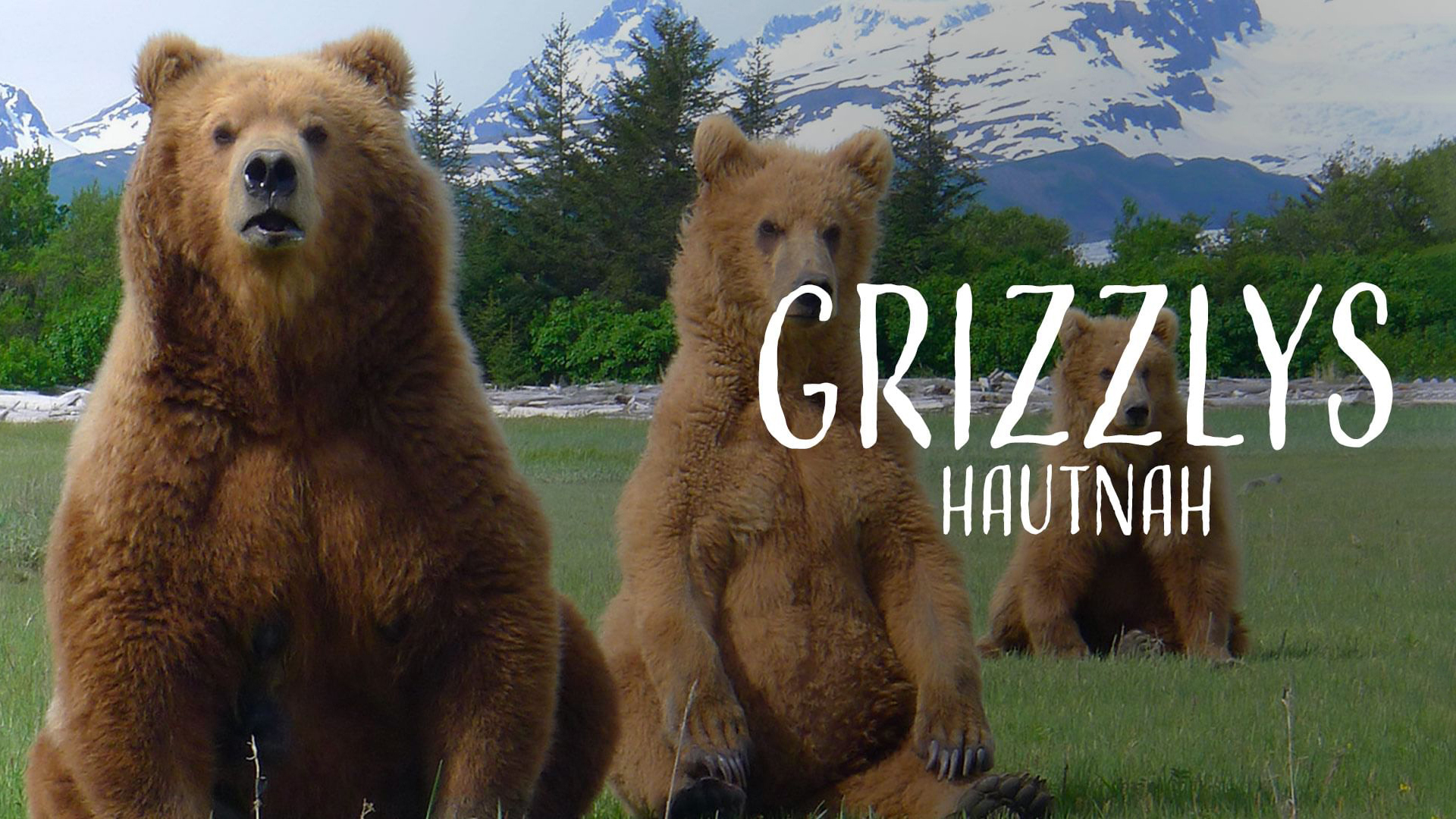 Grizzly Encounters with Chris Morgan