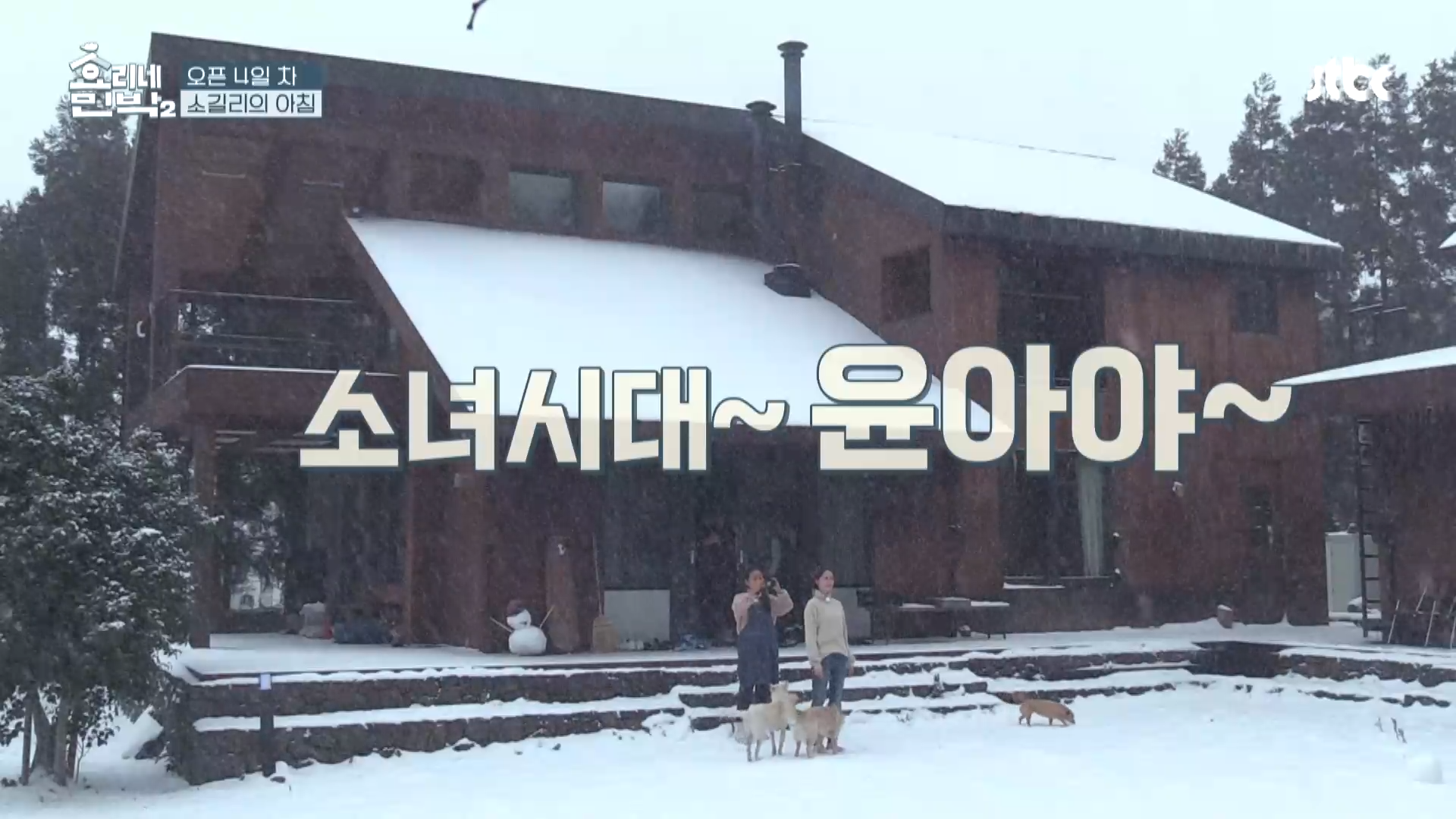 효리네 민박2 5회