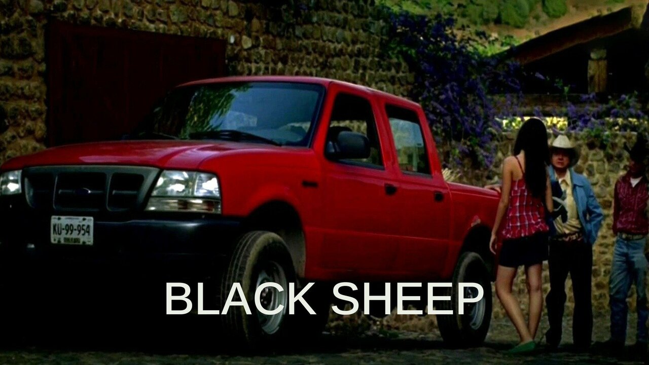 Black Sheep