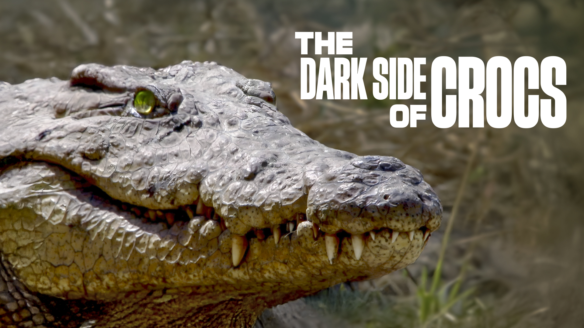 The Dark Side of Crocs