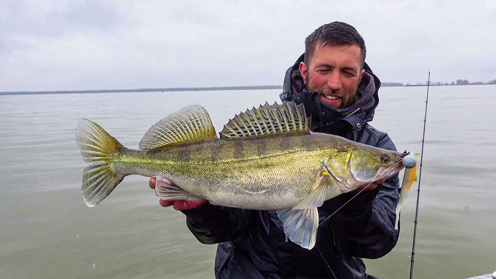 Pelagisch auf Große Zander am Großgewässer