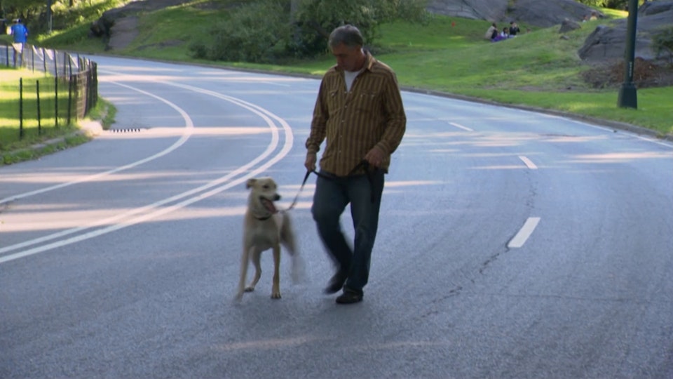 El encantador de perros