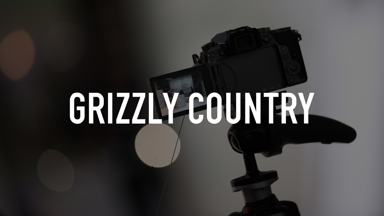 Grizzly Country