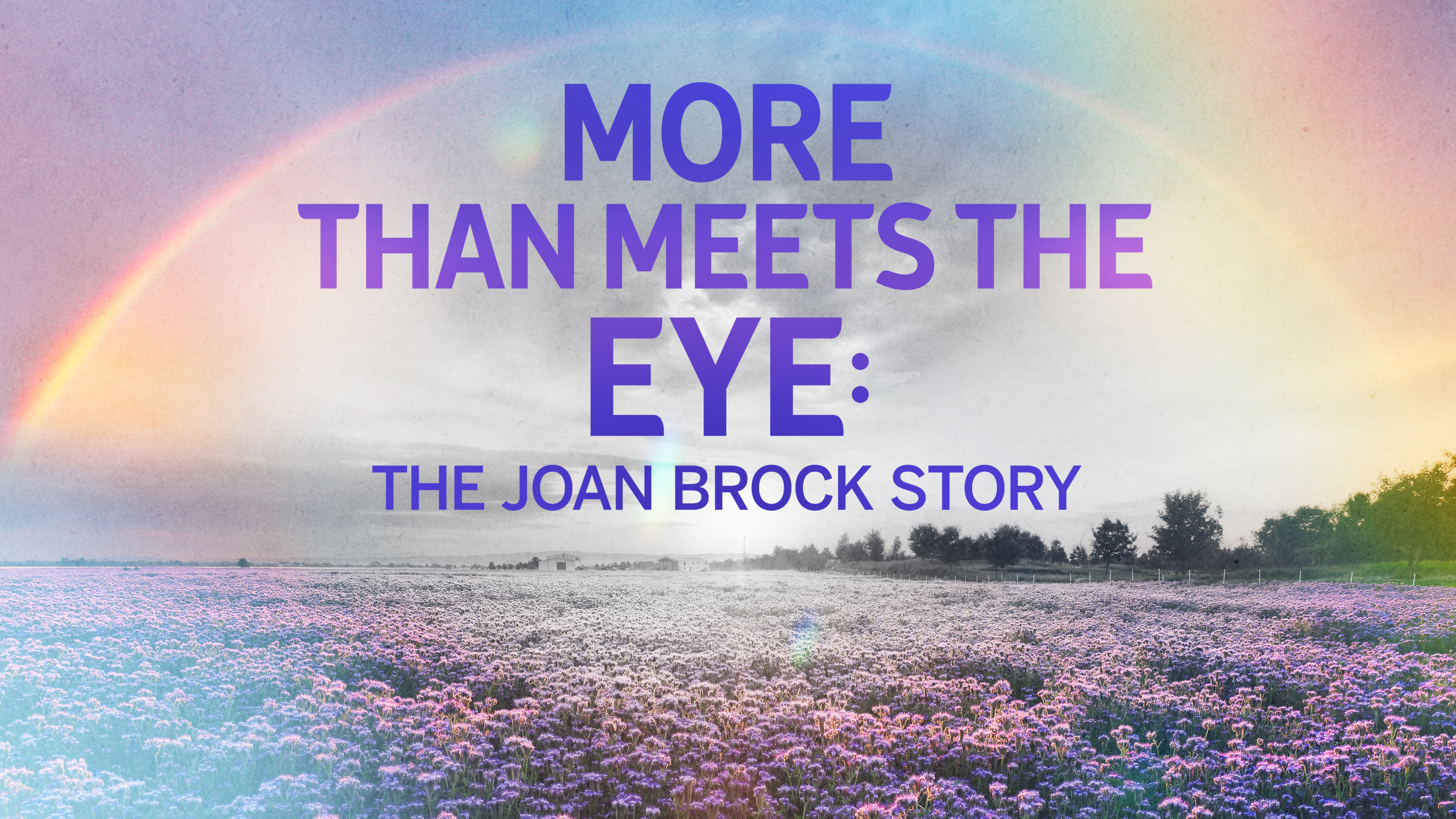 More Than Meets the Eye: The Joan Brock Story