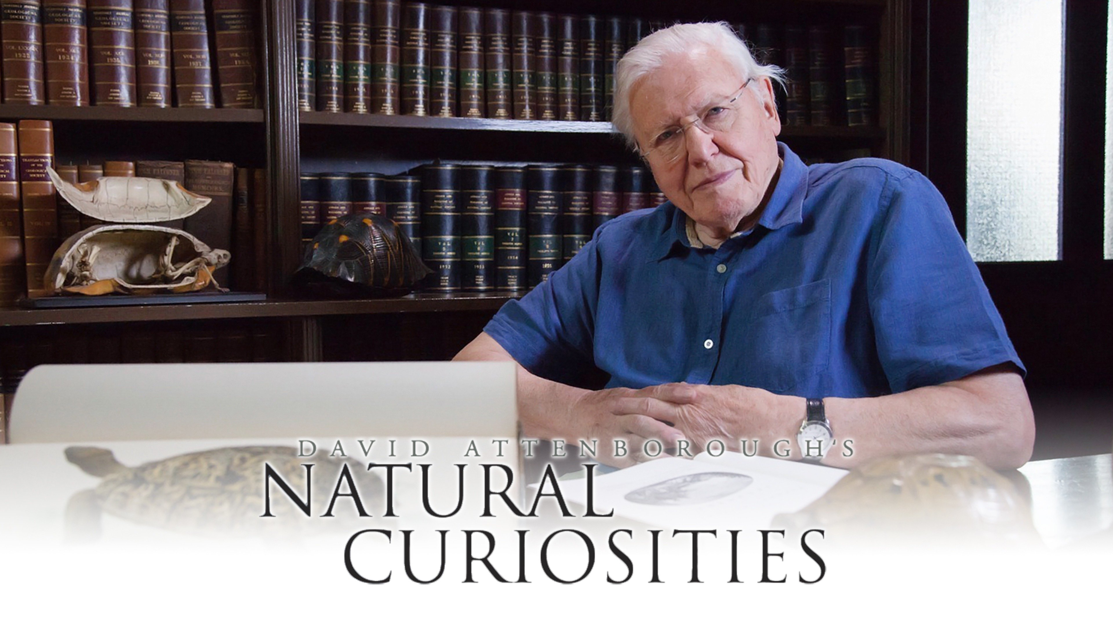 David Attenborough's Natural Curiosities