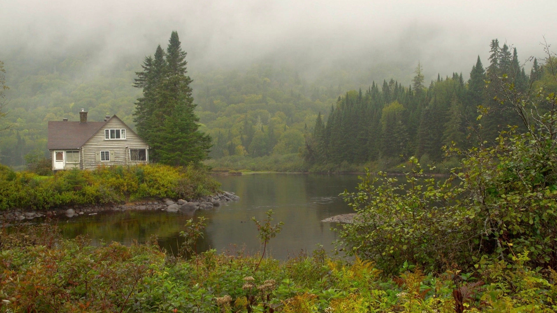 Misty Rustic Cabin: Quebec