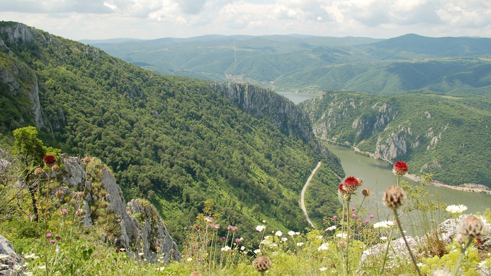 Wild Serbia