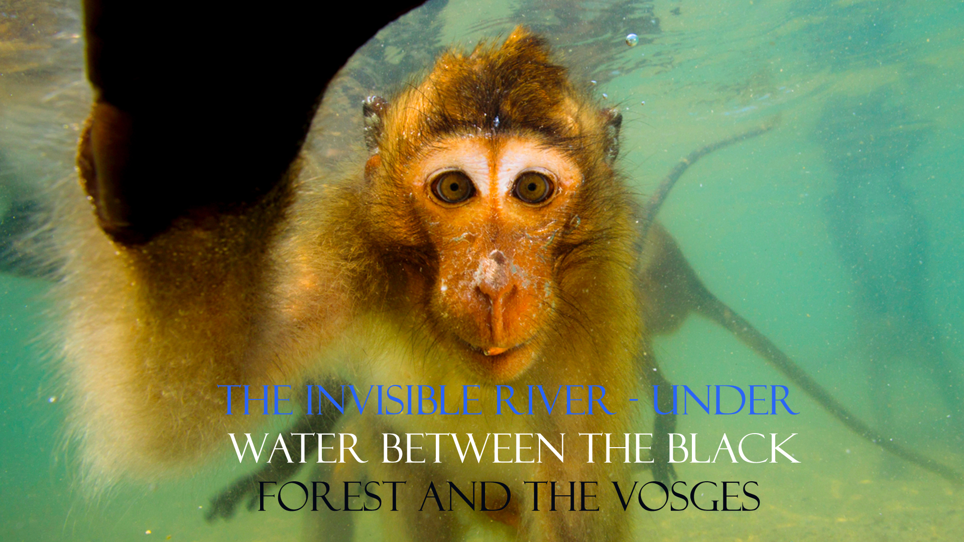 The Invisible River - Under Water Between The Black Forest and the Vosges