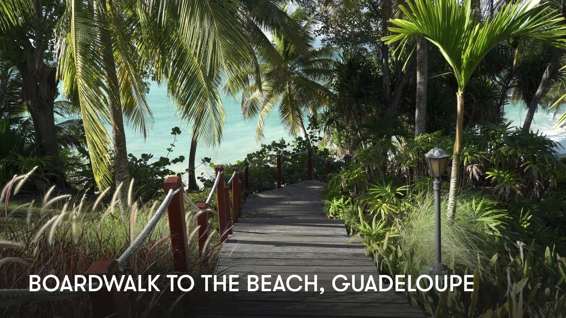 Boardwalk to the Beach: Guadeloupe