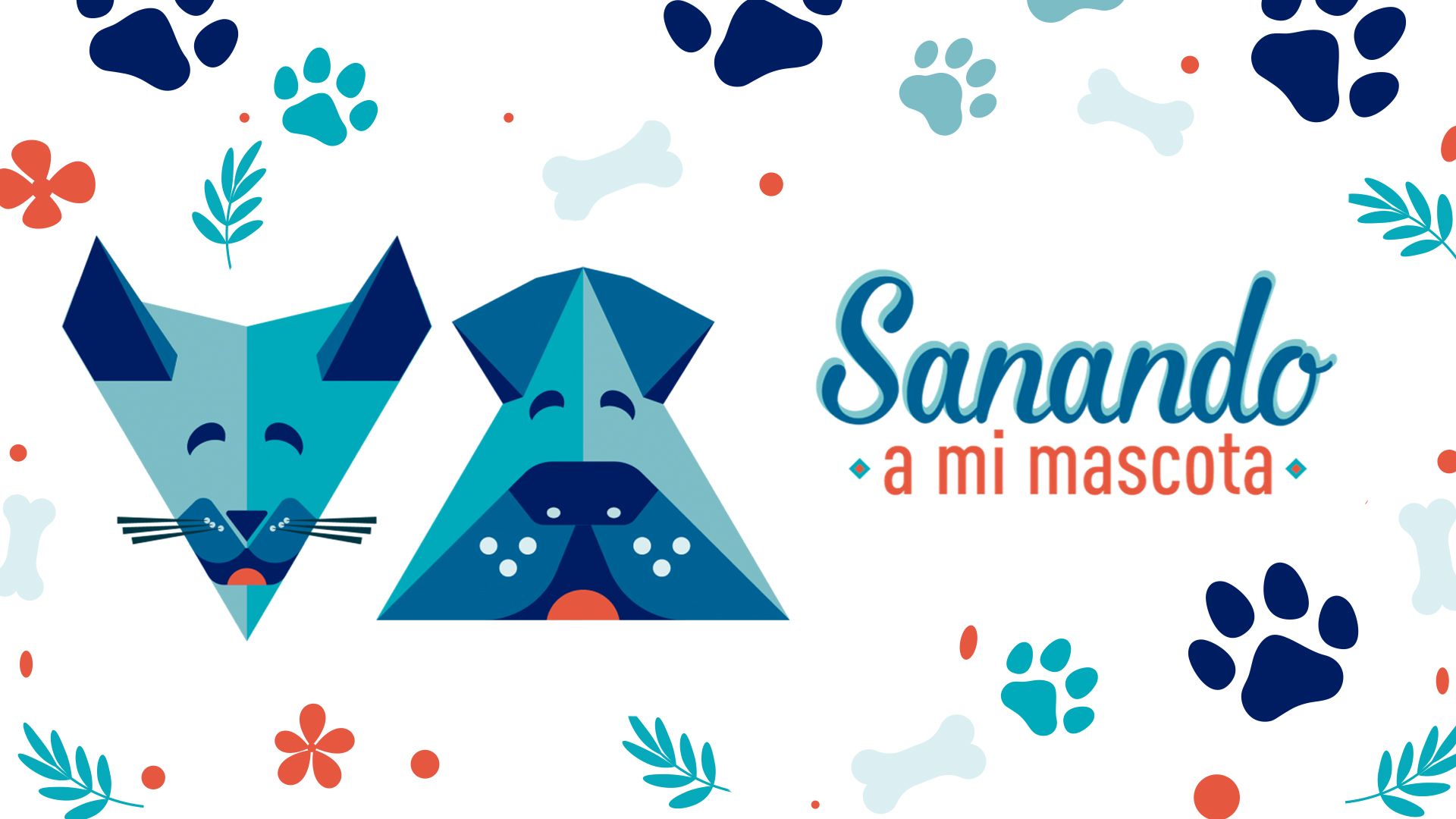 Sanando a mi mascota