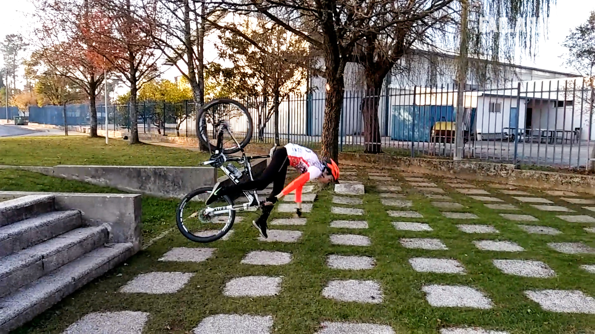 Humans VS. Everything