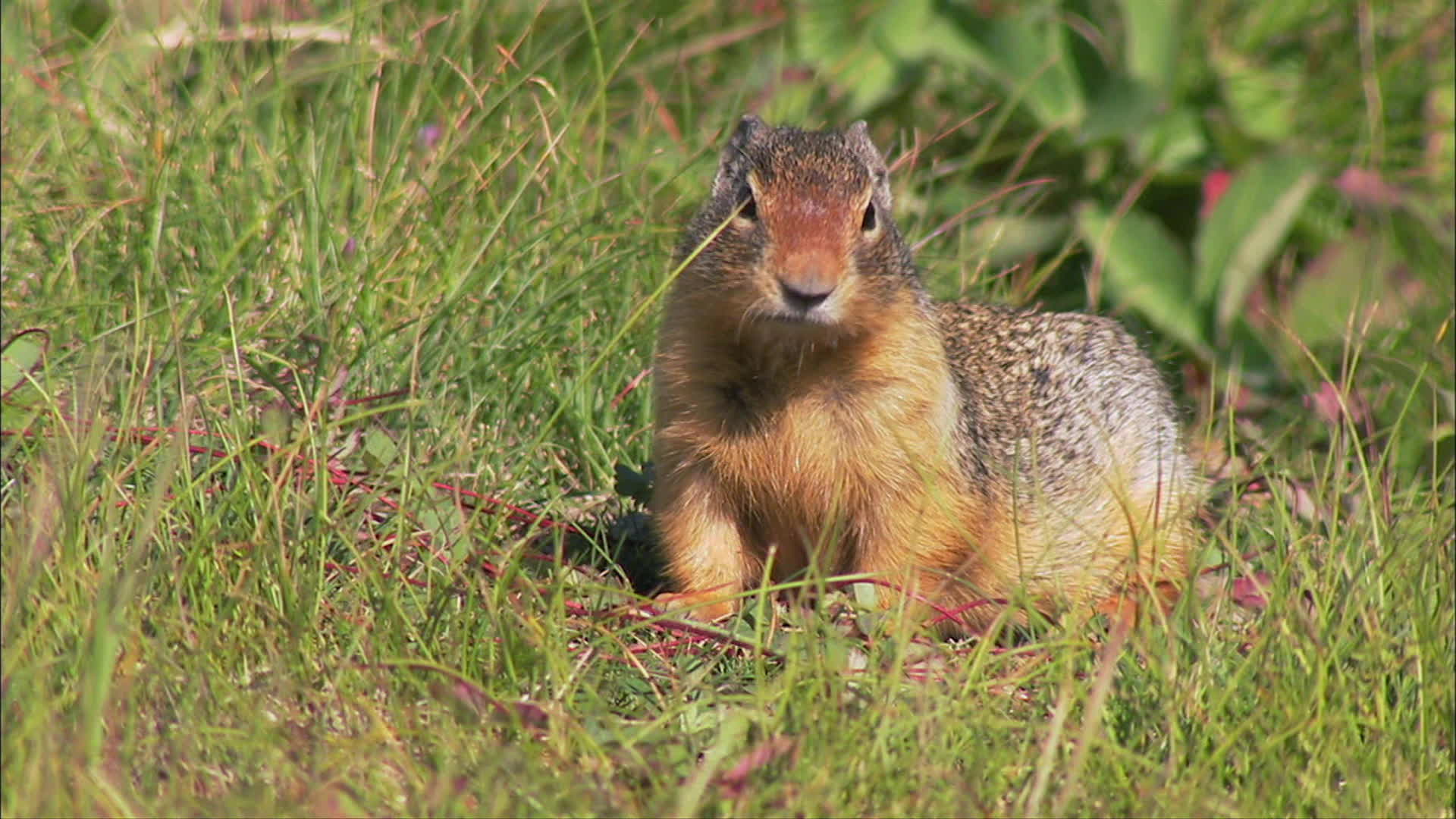 S2 E7 Waves of Devastation