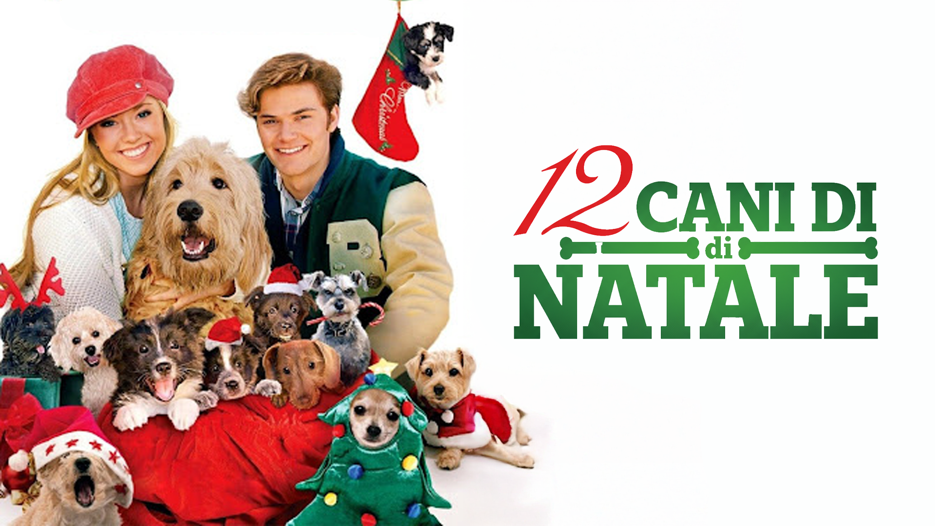 I 12 Cani di Natale