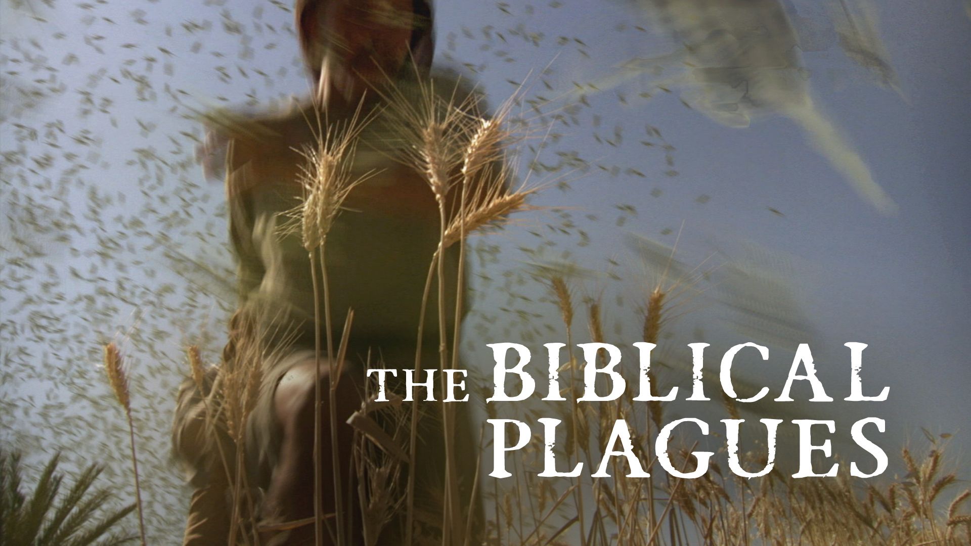 The Biblical Plagues