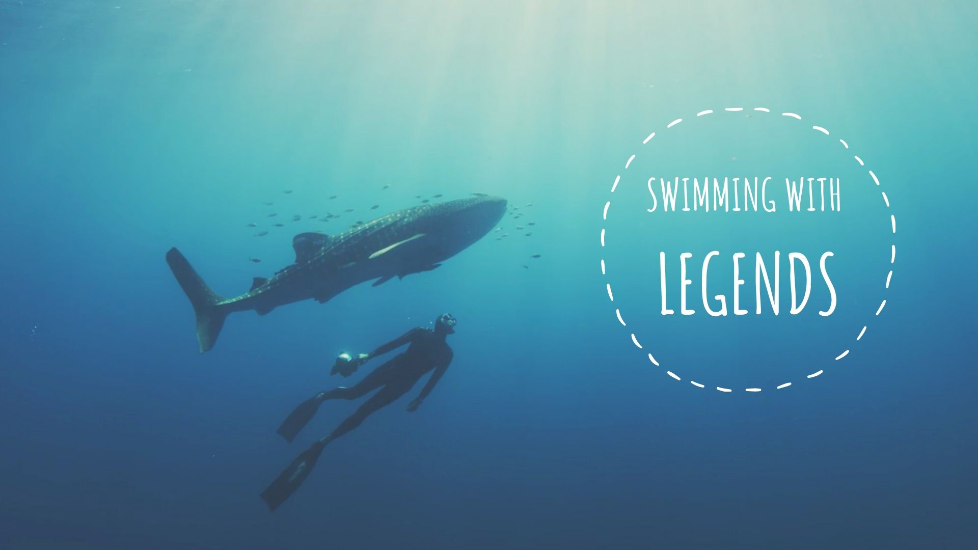 Swimming With Legends