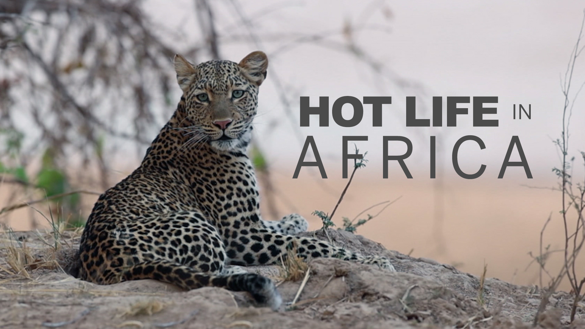 Hot life in Africa