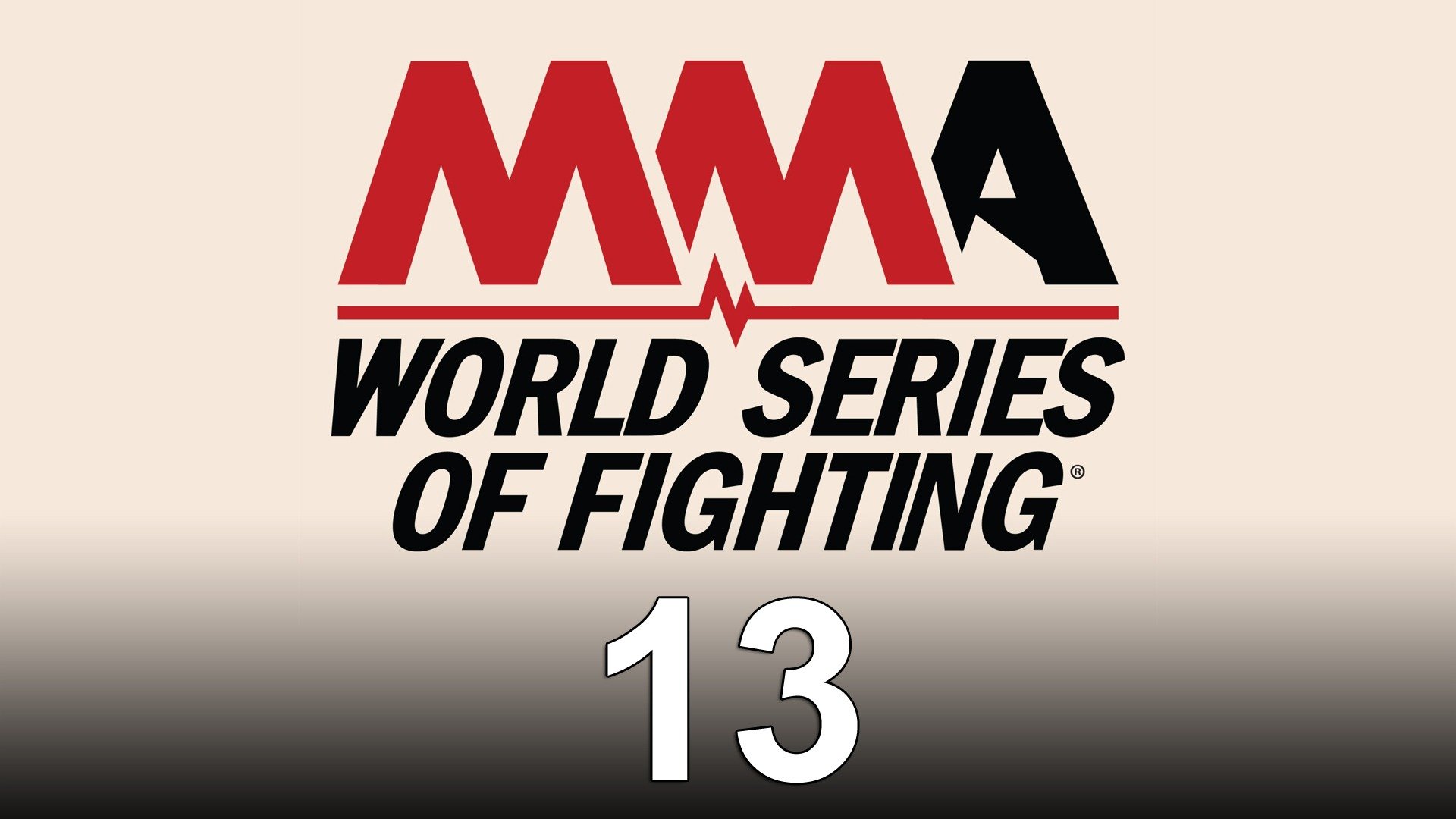 World Series of Fighting 13