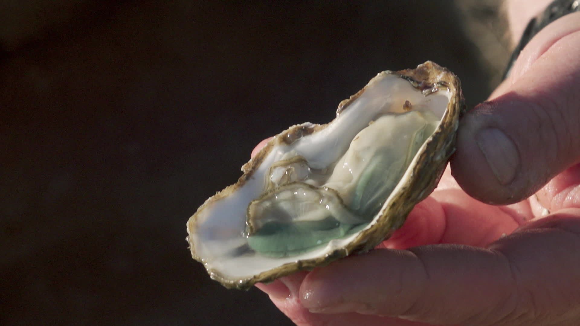 Itinéraires Paysans