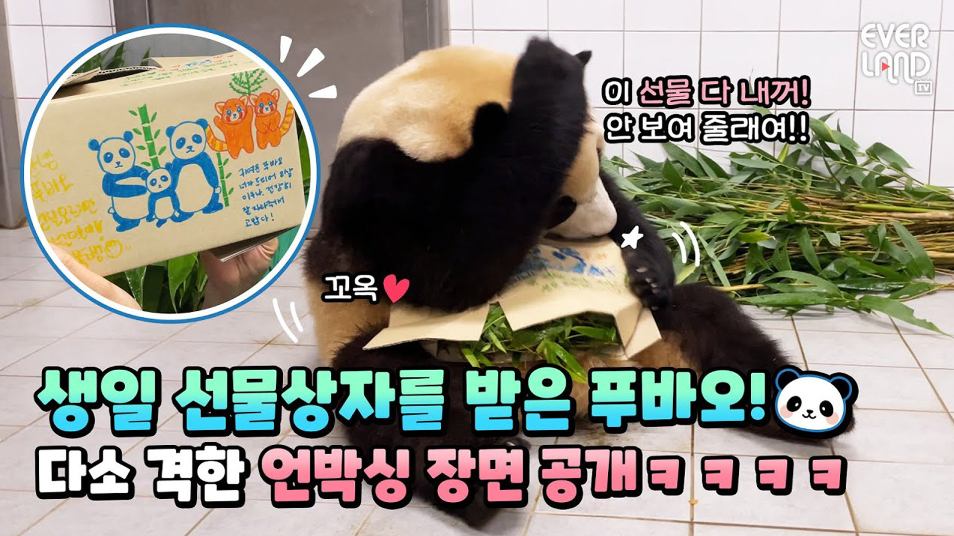 푸바오 품에 꼬옥❣️ 소듕한 선물박스의 정체는? 50회
