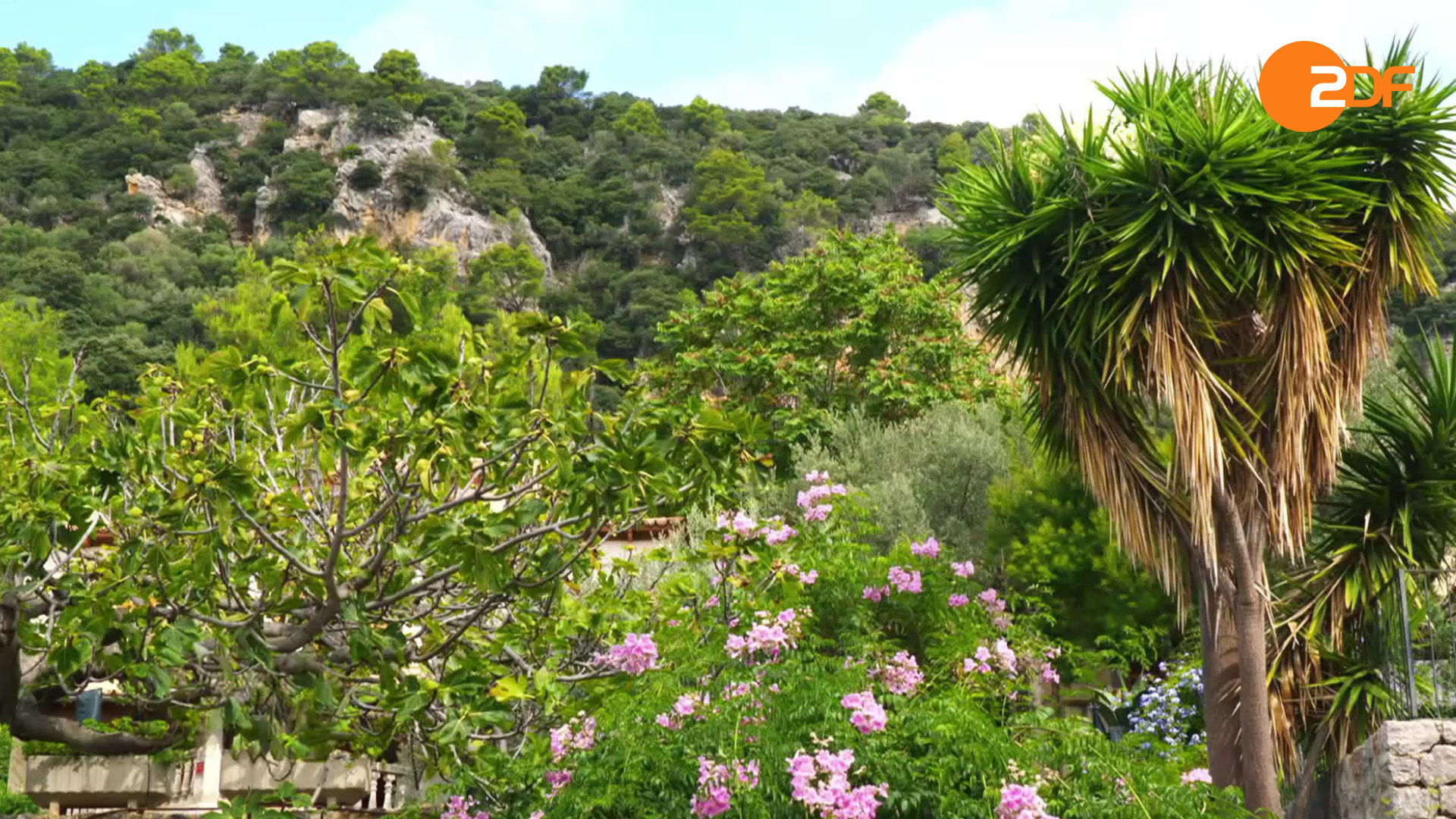 Duell der Gartenprofis on tour, Staffel 1