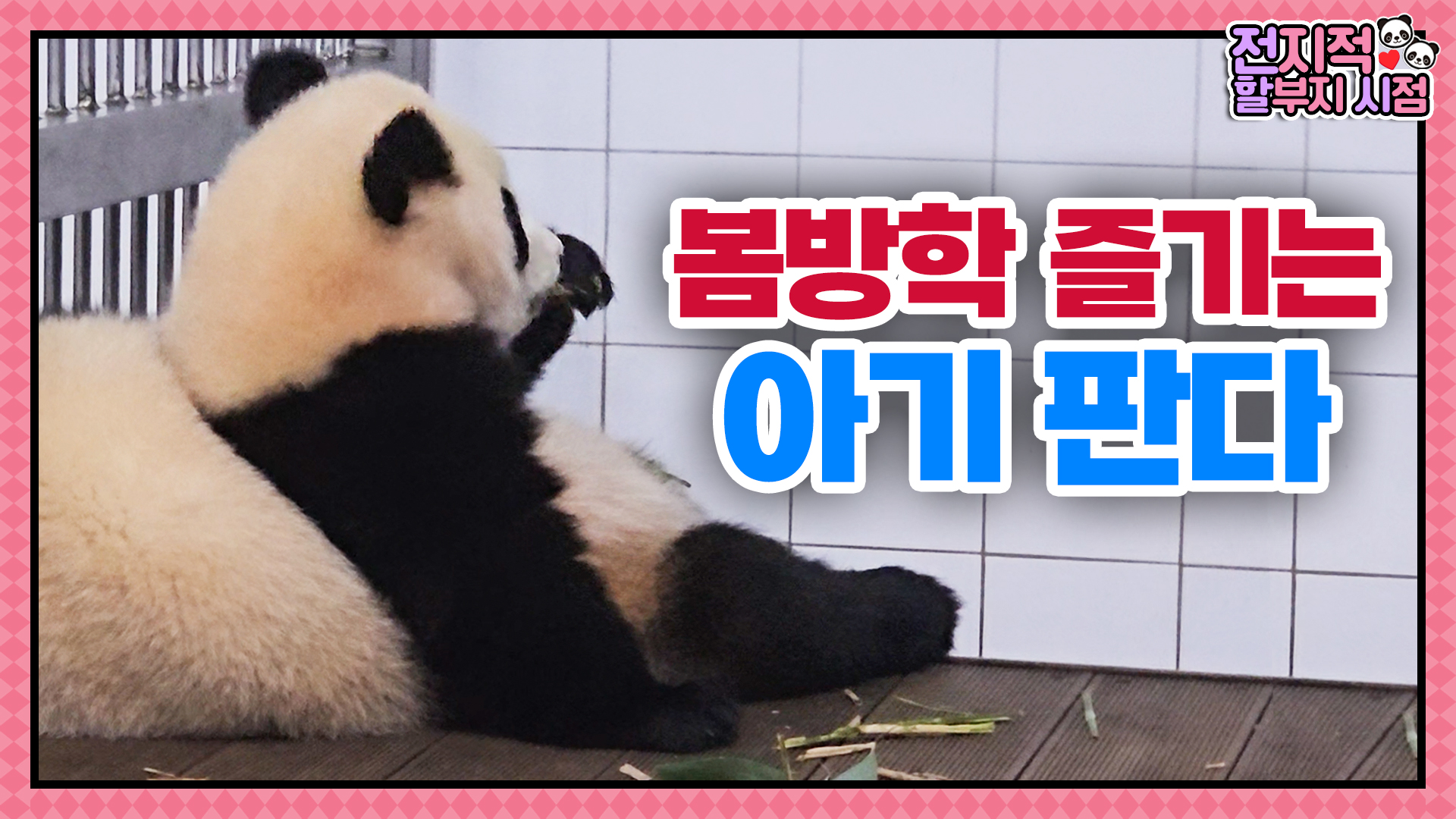 ‘엄마랑 하부지 괴롭히는게 제일 재밌어오' 불꽃효녀 루이후이의 봄방학 84