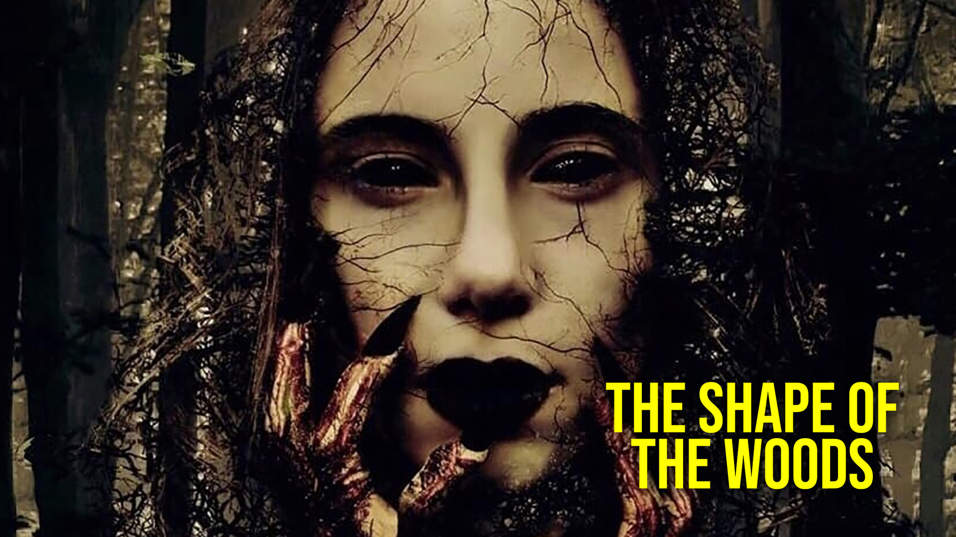 The Shape of the Woods