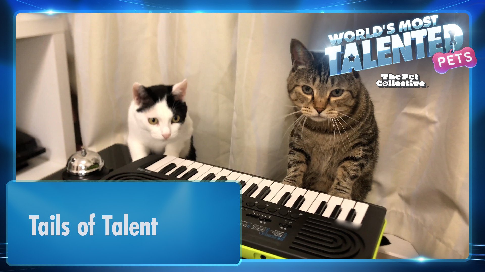 World's Most Talented Pets