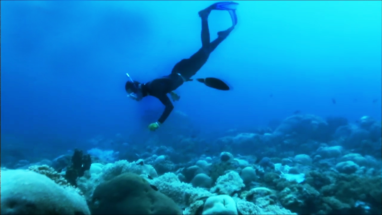 김병만의 정글의 법칙 96회