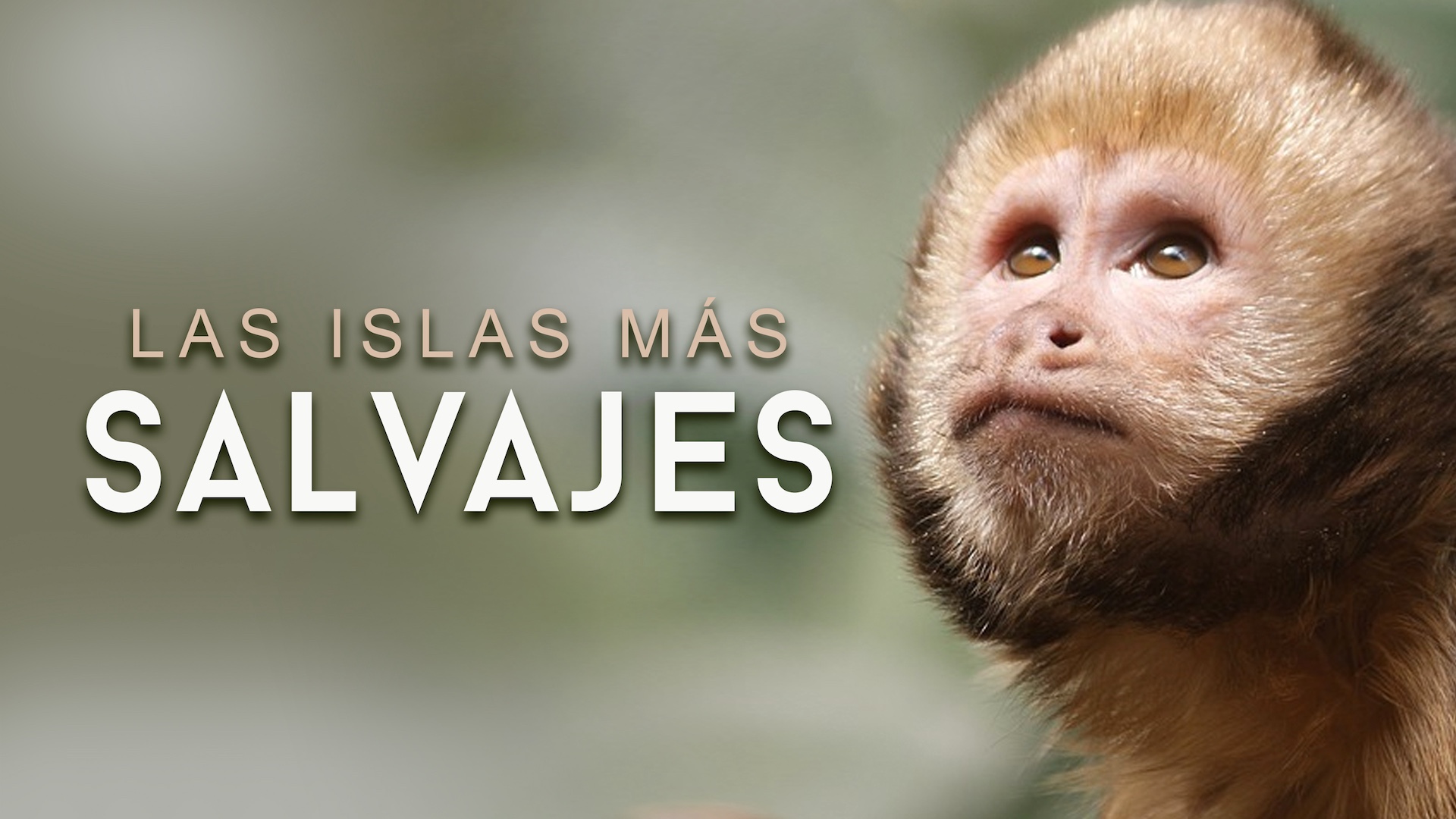 Las islas más salvajes