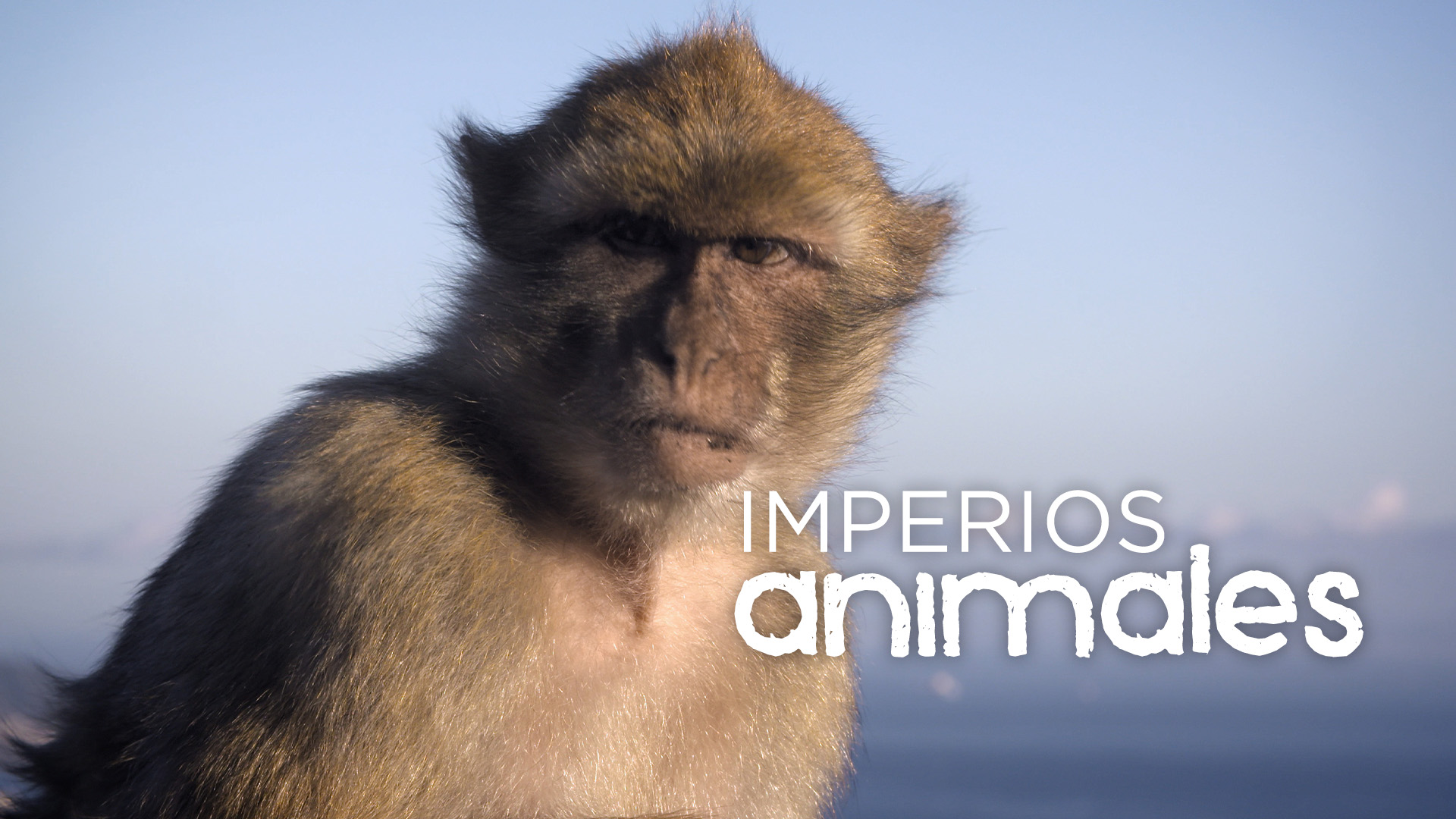 Imperios Animales