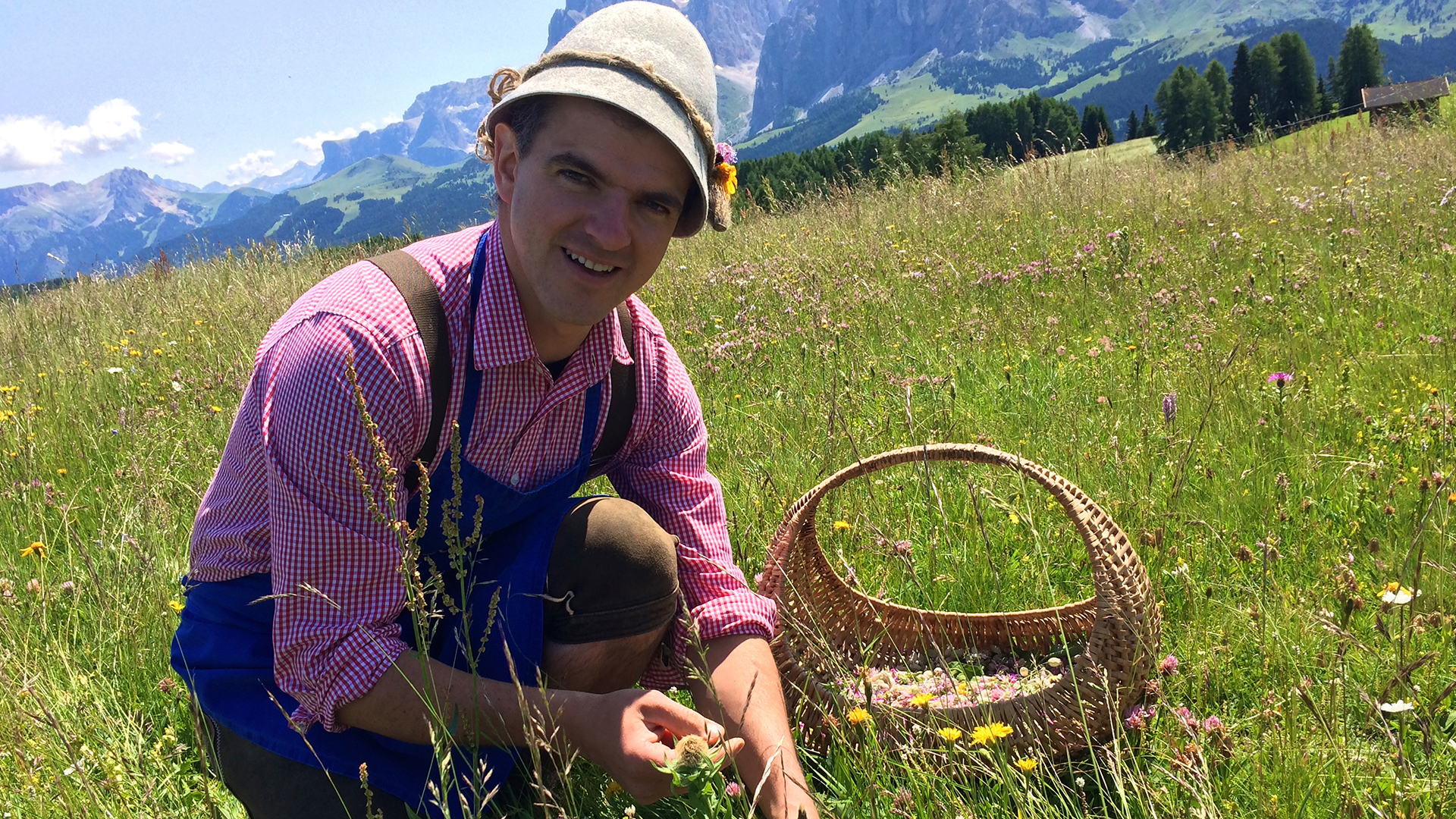 The Secret world of Herbs