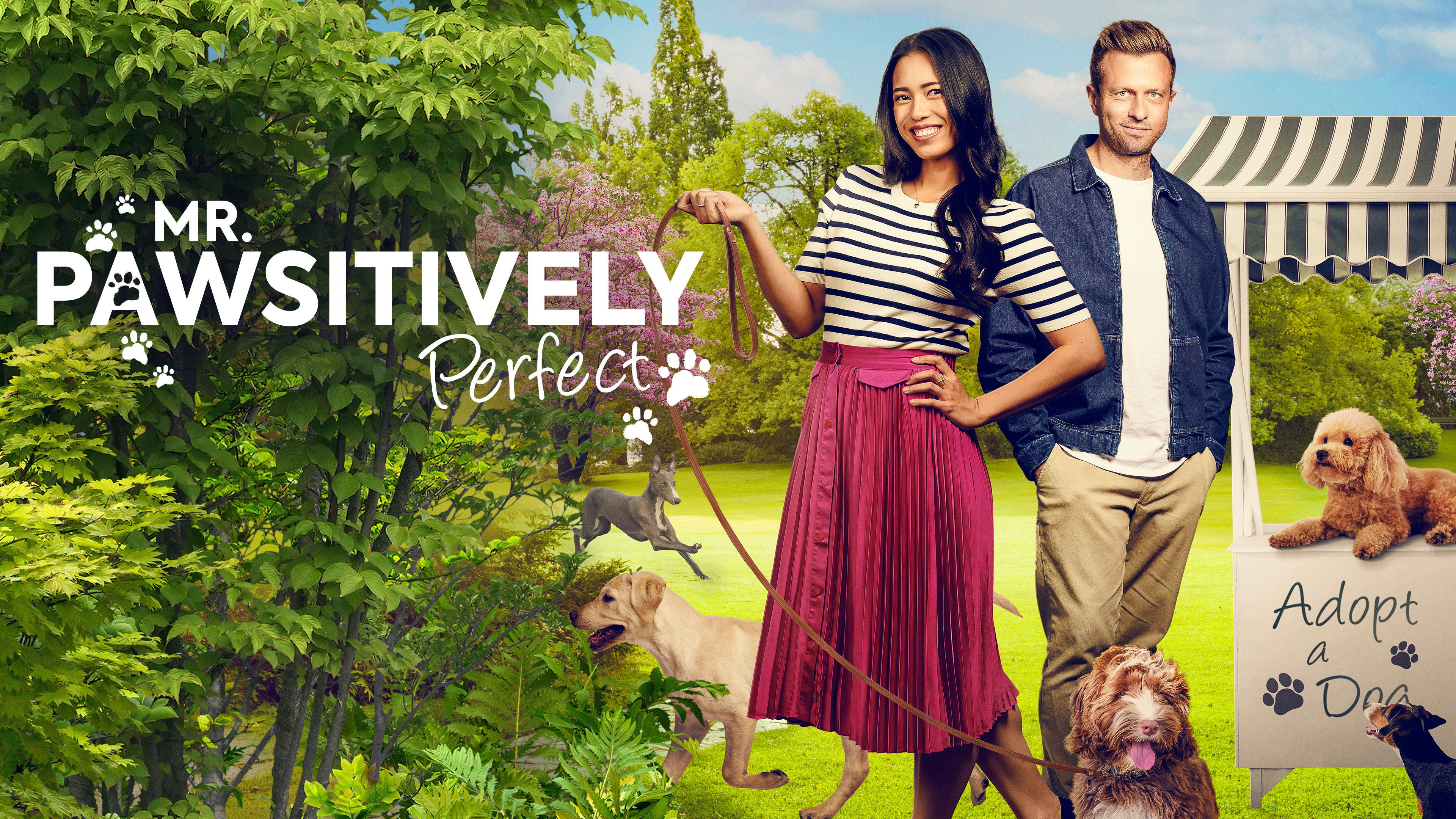 Mr. Pawsitively Perfect