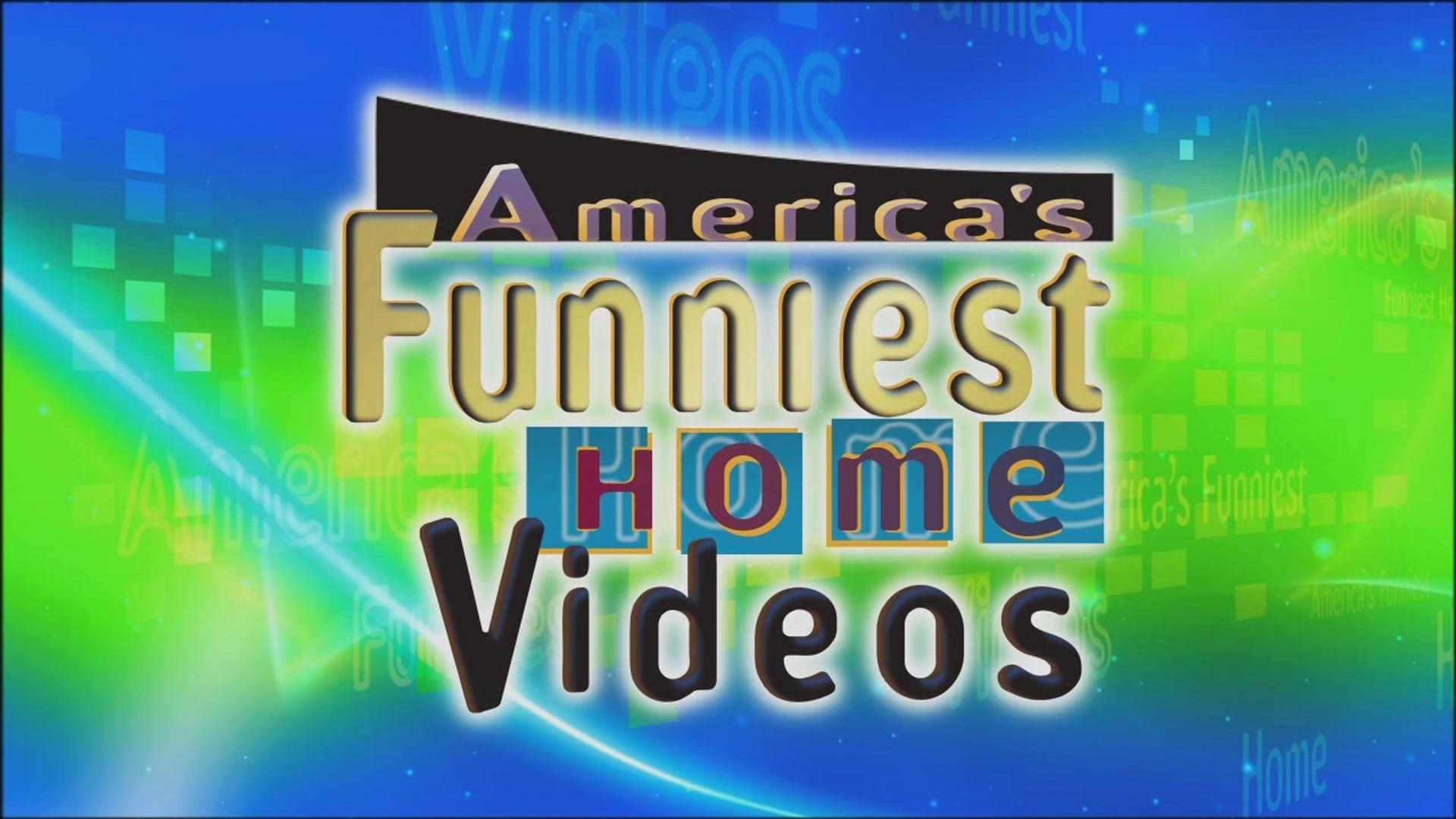 America's Funniest Home Videos